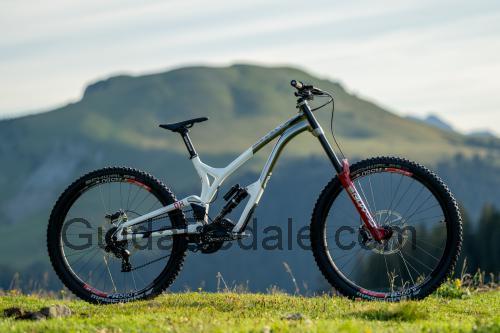 Commencal Supreme DH 29 scheda tecnica e recensioni